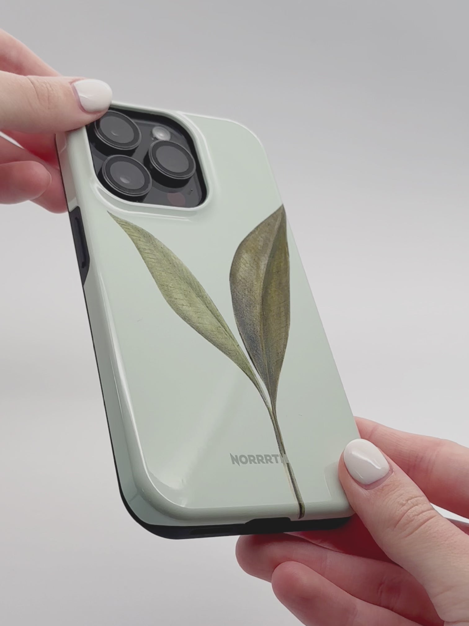 Glamorous Alexander – NORRRTH